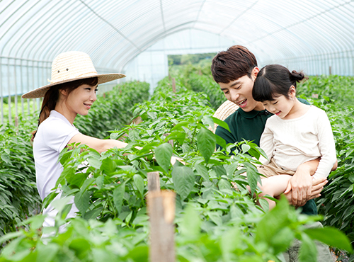6차산업 왜 필요한가?